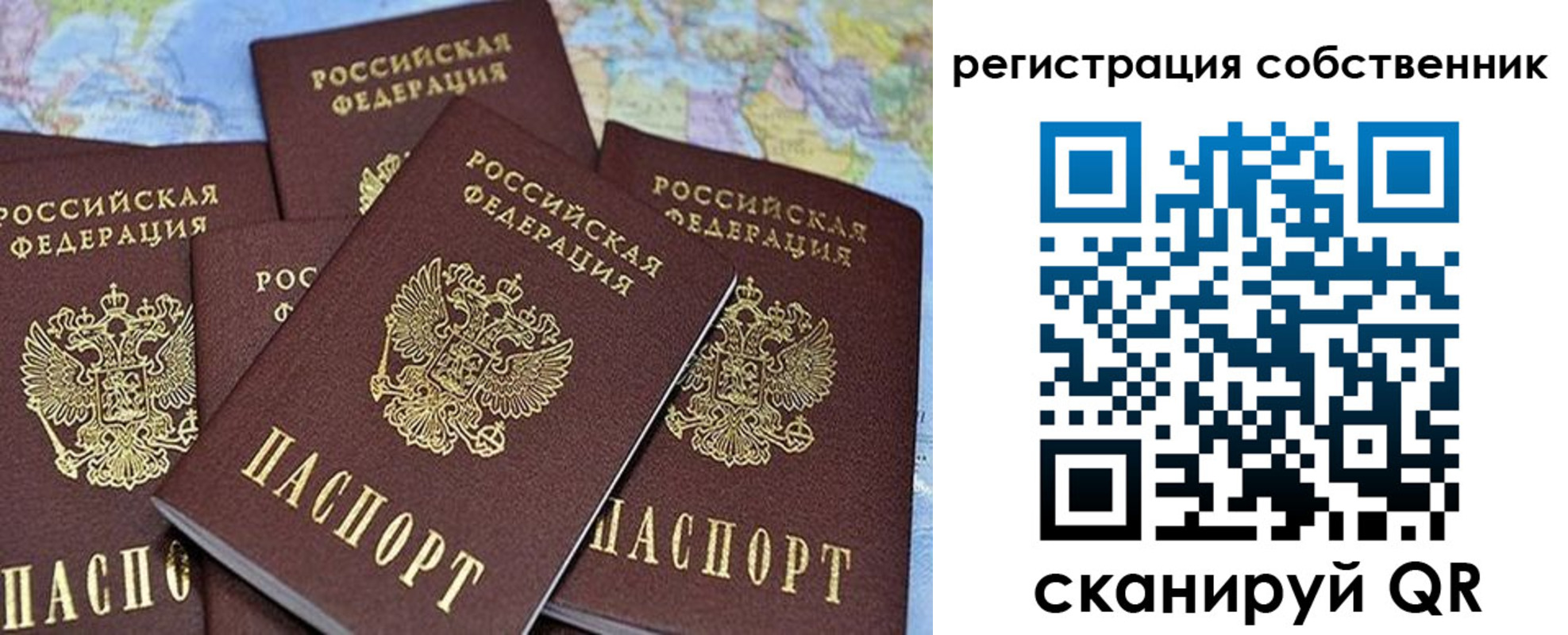 прописка для школы в Сланцах